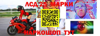 гидра Кандалакша