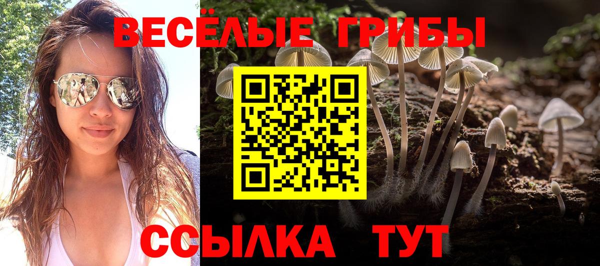 Псилоцибиновые грибы GOLDEN TEACHER Куйбышев