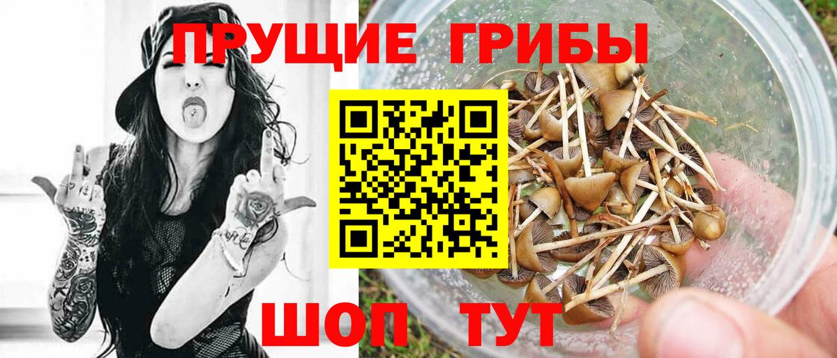 Куйбышев  Галлюциногенные грибы мицелий  Вход с VPN 